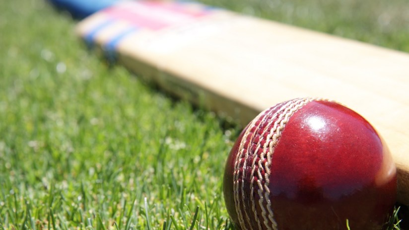 Cricket bat and ball