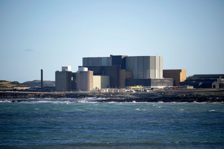 The government has today been urged to make sure that the country has at least 10 gigawatts of operational nuclear capacity by the early 2030s as the current fleet of power plants begin to be shut down.