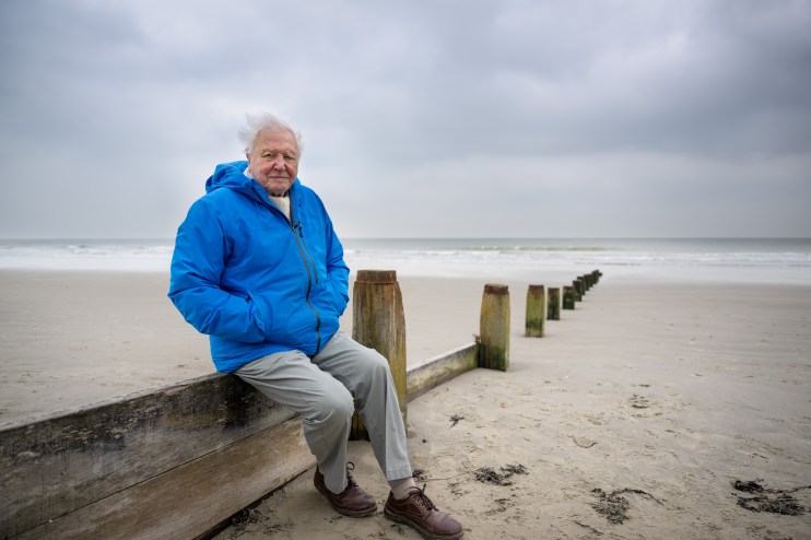 Sir David Attenborough 'really struggled' with being famous, his director told CityAM