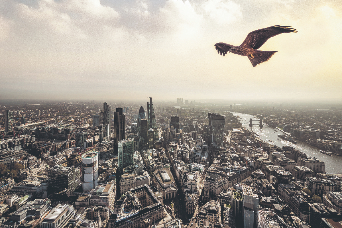 The firm that sparked accountancy private equity gold rush