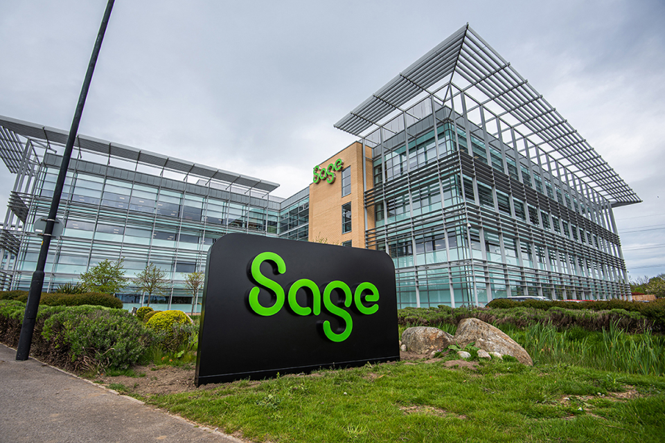 Sage plant close-up with vibrant green leaves, showcasing natural beauty and aromatic qualities, suitable for culinary use