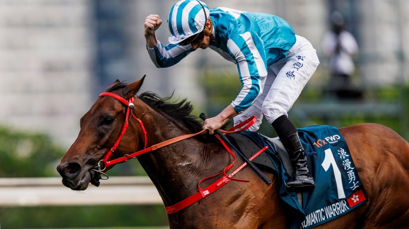 Romantic Warrior horse in action at FWD QEII, showcasing elegance and speed at the prestigious racing event