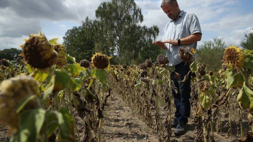 Farming